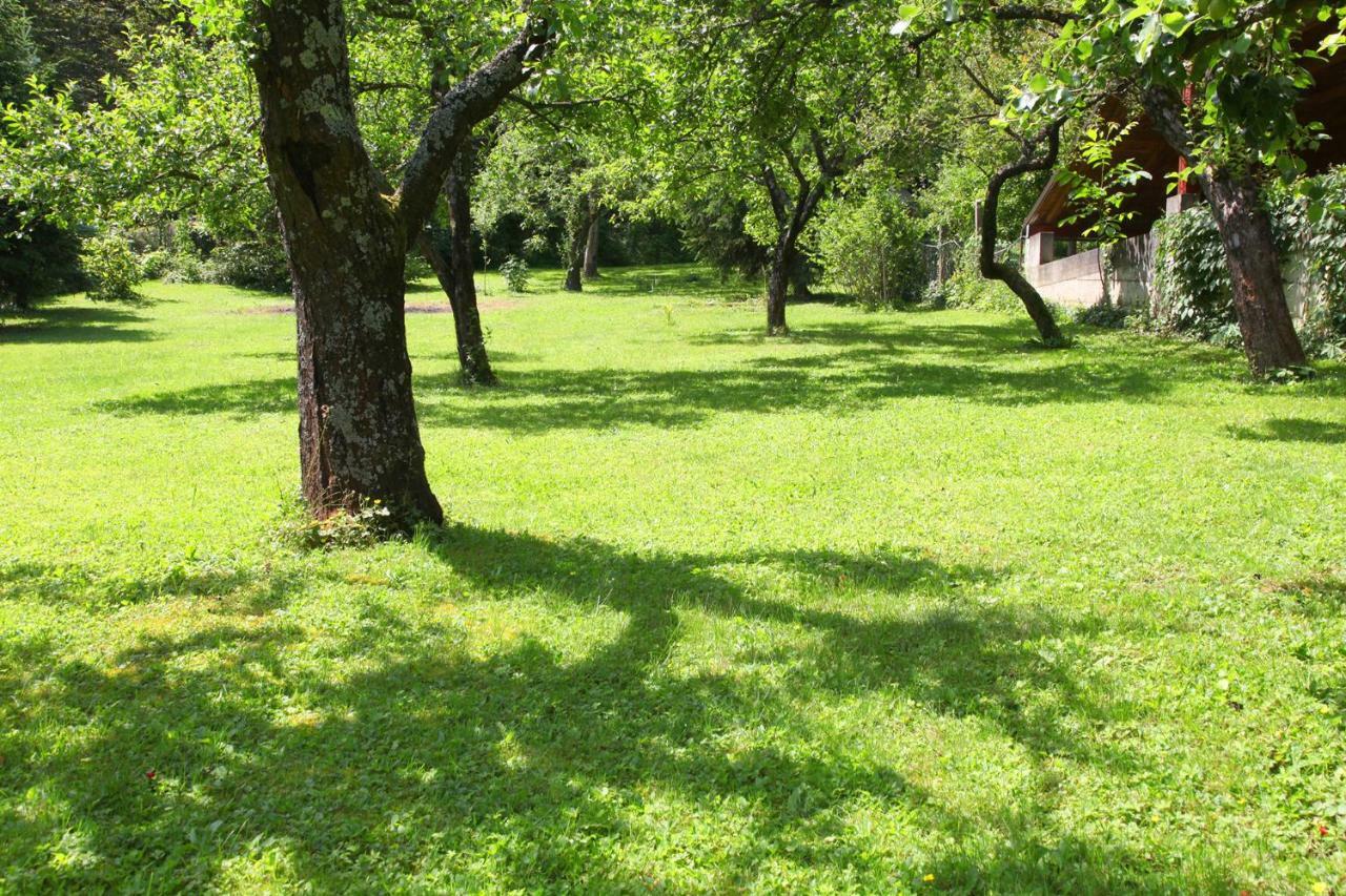 Apple Tree Apartment Zagreb Bagian luar foto